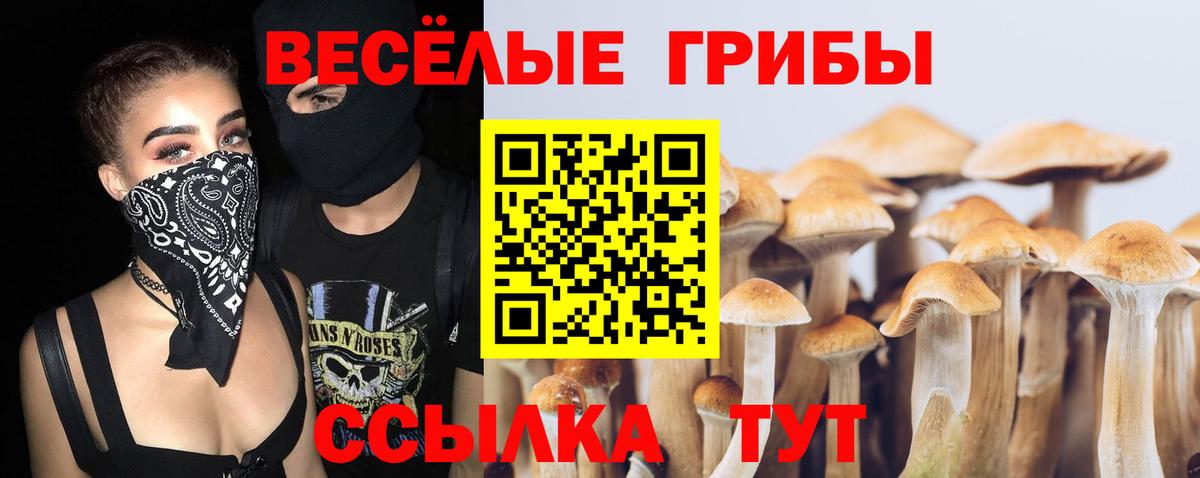 Псилоцибиновые грибы MAGIC MUSHROOMS  Вход с VPN  Галлюциногенные грибы мицелий  Кимовск 